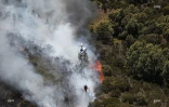 Feu du Maïdo