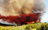 Incendie Maïdo 2020