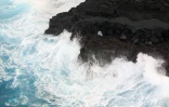 Sud sauvage