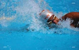 natation 