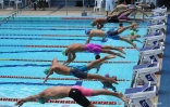natation 