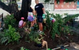 Saint-Paul : des plantations d'arbres pour l'école Sarda Garriga