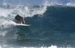 Surf