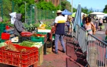 Le marché forain à La Ravine Saint-Leu ouvert ce samedi 