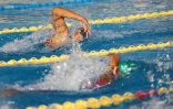 natation 