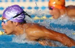 natation 