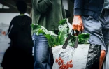 Saint-Denis : une journée sport et santé au pôle agro bio