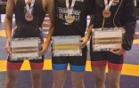 championnats de france de lutte