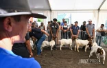 Foire de Bras-Panon