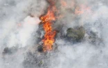 Feu du Maïdo