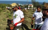 "Nout foret, nout péi" : 140 arbres plantés sur le littoral de Saint-Leu [?]