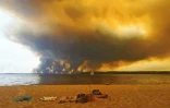Un bateau évacuant des touristes et habitants de Lège-Cap-Ferret accoste à Arcachon, en Gironde, le 24 juillet 2026
