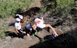 SwimRun Réunion