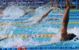meeting natation 2015