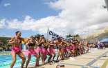interclub natation 2014