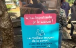 La ville de Saint-Pierre a organisé une journée de prévention et de sensibilisation autour de la santé