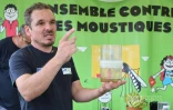 Sensibilisation contre la Dengue