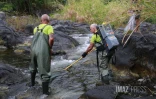 Sécheresse : le Sud Sauvage totalement à sec, poissons et crustacés en danger
