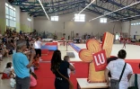 Championnat départemental gymnastique 15 février 2020