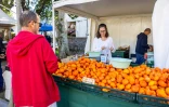 Le Tampon : la Fête des agrumes a réuni producteurs et familles au Parc Jean de Cambiaire