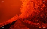 volcan 2007