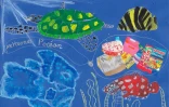 Réserve marine : les gagnants du concours de dessin dévoilés