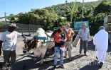 Baptême des couteaux à Saint-Pierre avant la campagne sucrière dans le sud