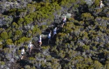  Grand Raid 2002