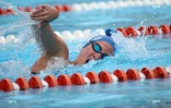 Natation 