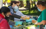 Le Département organise un marché Péi au Jardin de l'Etat