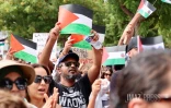 Rassemblement pour la paix en Palestine