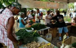 Marchés producteurs 