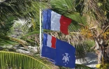 Drapeau des TAAF