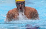 Natation 