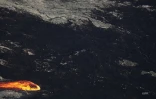 volcan février 2019