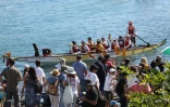 Dragon boats au port 2016