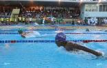 interclub natation 2014