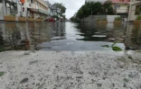 Cyclone Bejisa