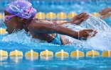 Championnat de natation de La Réunion