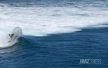quiksilver urf challenge 2026