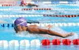 Natation 