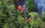 volcan AOUT 2019