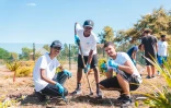 Le Port : les élèves du lycée Léon Lépervanche en action pour la préservation de leur patrimoine