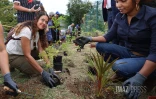 plan 1 million arbres La Possession au college Texeira da motta 