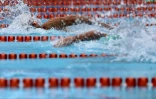 Championnats Natation Plateau Caillou