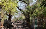 Grand Raid 2023