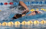 Natation