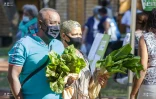 Le Département organise un marché Péi au Jardin de l'Etat