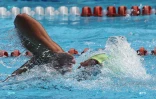 Natation