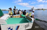 régate bateau élèves de l'ouest